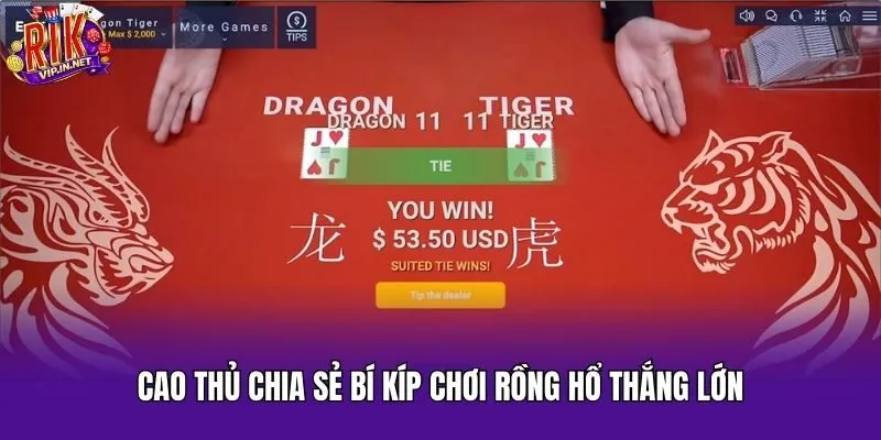 Cao thủ chia sẻ bí kíp chơi rồng hổ thắng lớn