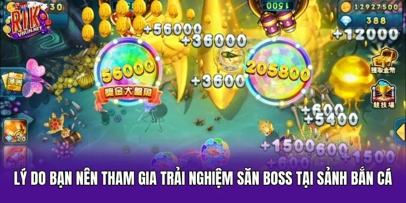 Lý do bạn nên tham gia trải nghiệm săn boss tại sảnh bắn cá