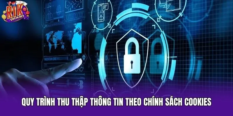 Quy trình thu thập thông tin theo chính sách cookies