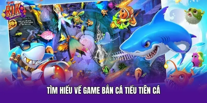 Tìm hiểu về game bắn cá tiểu tiên cá