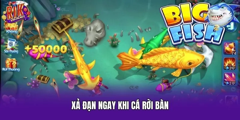 Xả đạn ngay khi cá rời bàn